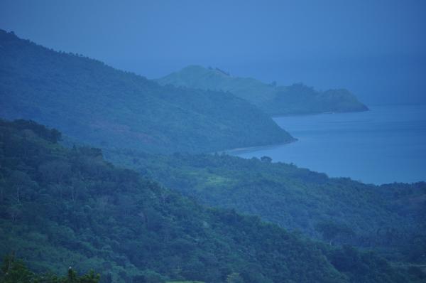 Blue landscape