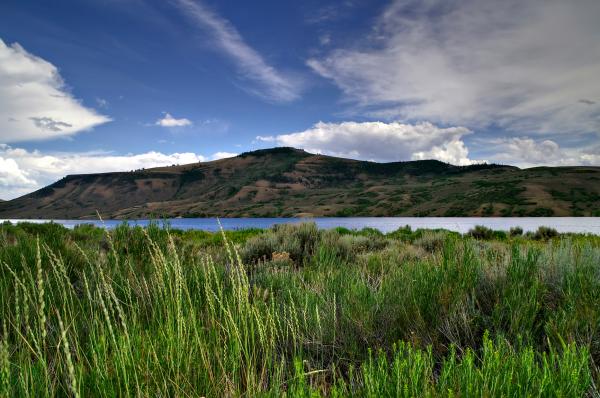 Blue Mesa Reservoir