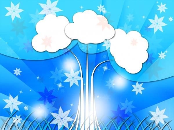 Blue Nature Background Shows Tree Flowers And Grass