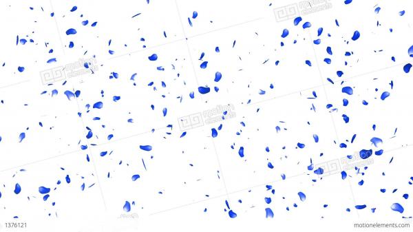 Blue petals