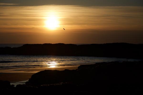 Blue Seashore during Sunset
