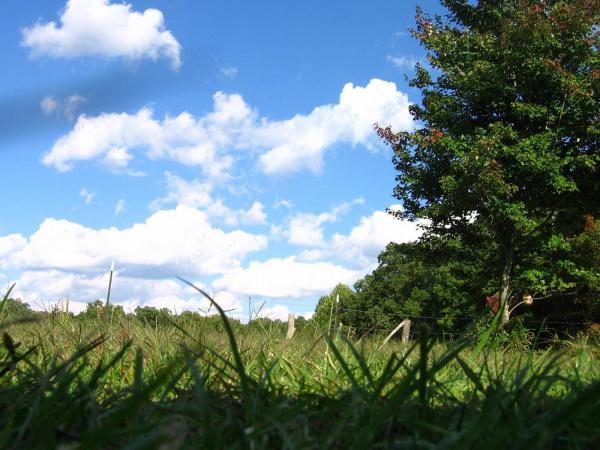 Blue skies, green grass
