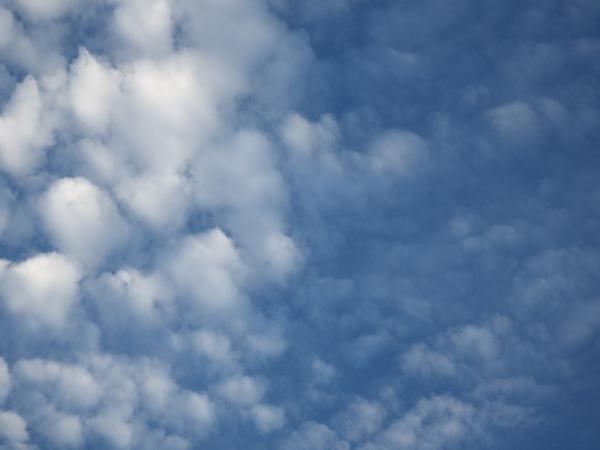Blue Sky and Fluffy White Clouds
