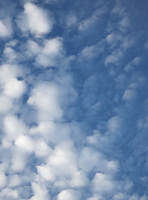 Blue Sky and Fluffy White Clouds