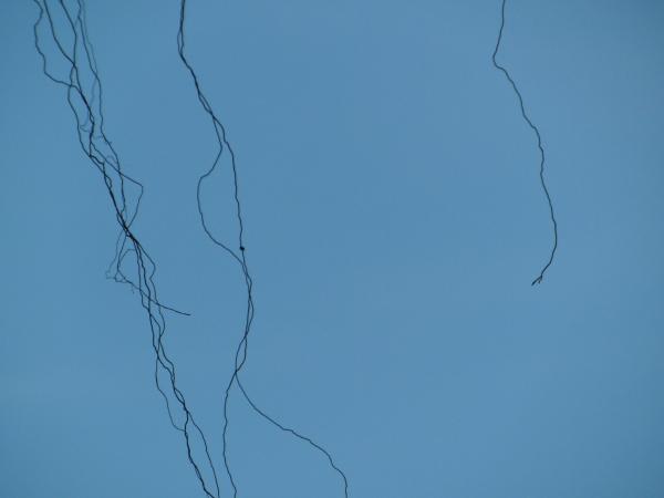 Blue Sky Background with falling vines
