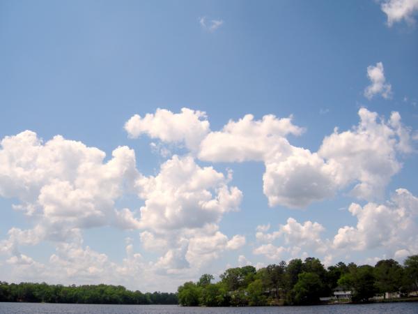 Blue Sky Wit White Clouds