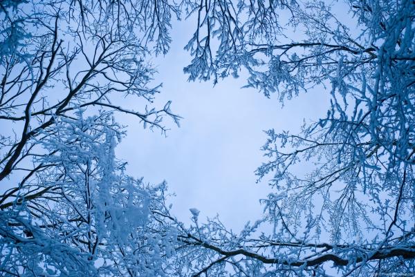Blue snow