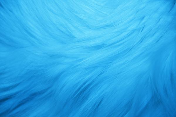 Blue Texture