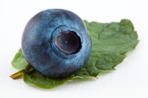 Blueberry and Mint
