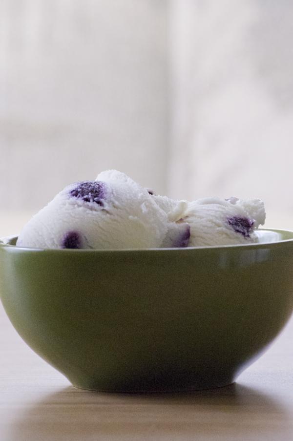 Blueberry Ice Cream