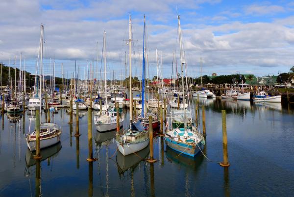 Boat Marina Whangarei. NZ