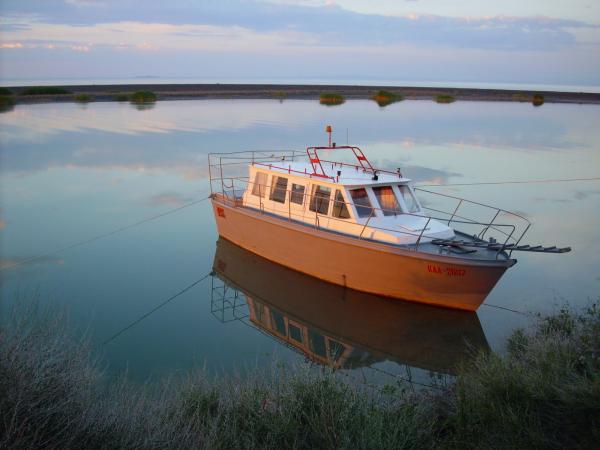 Boat near the shore