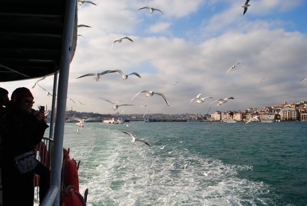 Boat Ride