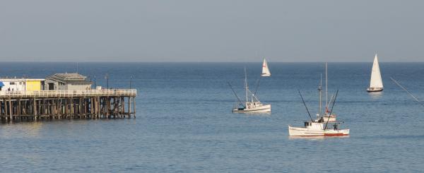 Boats near end of wharf