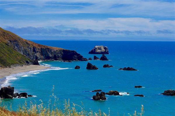 Bodega Bay