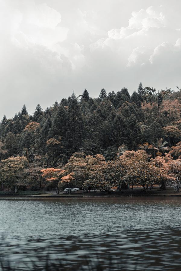 Body of Water