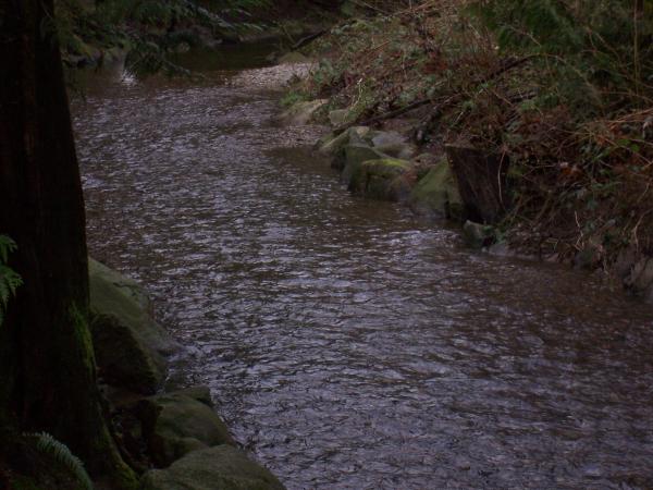 Body of Water
