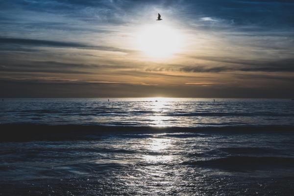 Body of Water during Sunset