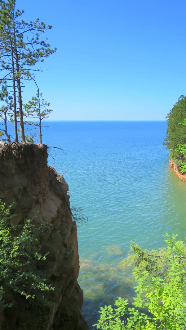 Boggy lake shore