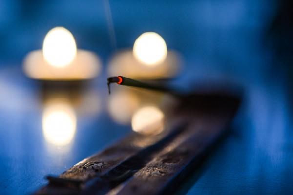 Bokeh Photography of Black Stick