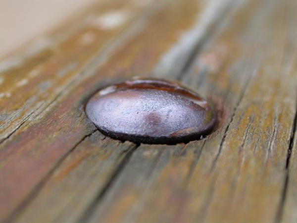 Bold head in wood