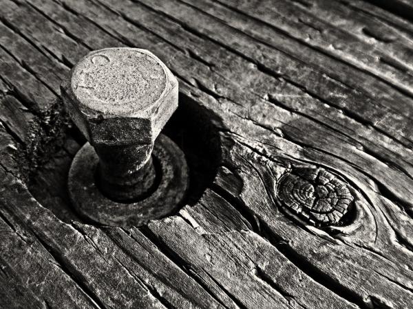 Bolt