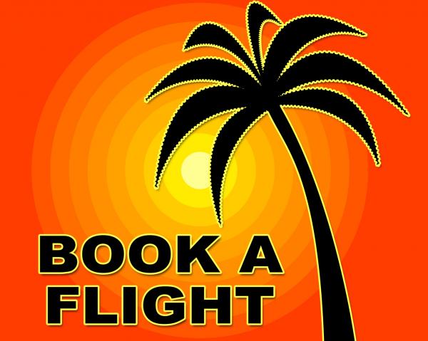 Book Flight Indicates Flights Aeroplane And Ordered