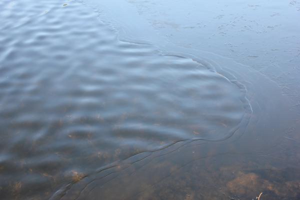 Border in the Water