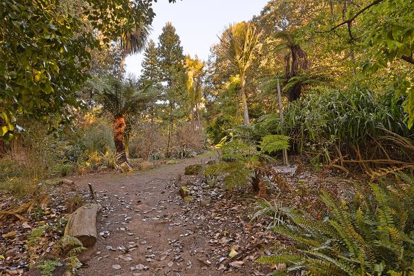 Botanical Gardens Trail - HDR