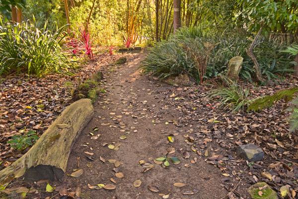 Botanical Gardens Trail - HDR