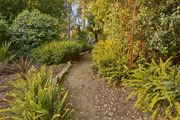 Botanical Gardens Trail - HDR