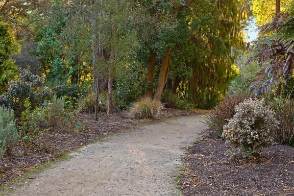 Botanical Gardens Trail - HDR