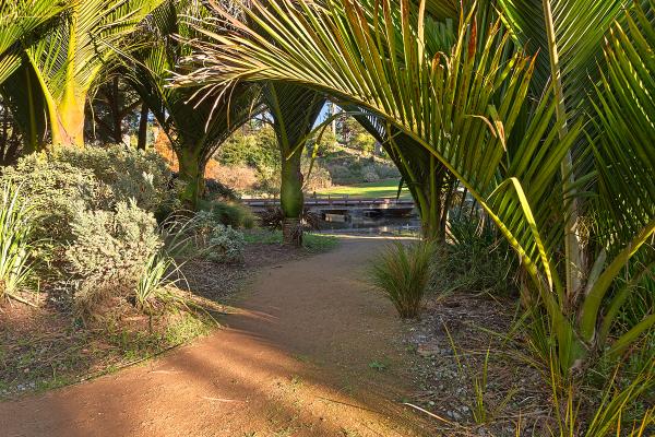 Botanical Gardens Trail - HDR