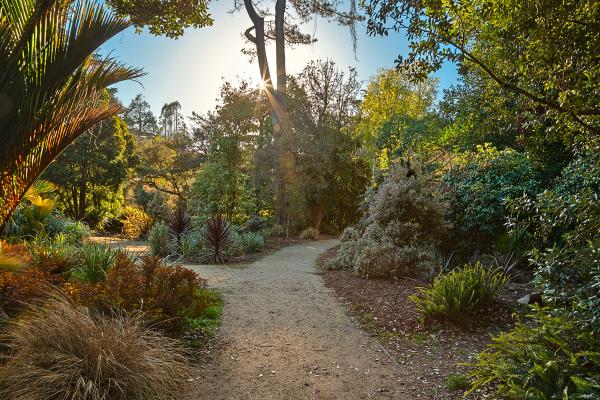 Botanical Gardens Trail - HDR