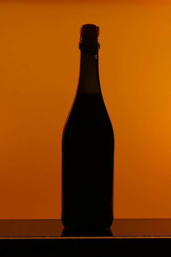 Bottle