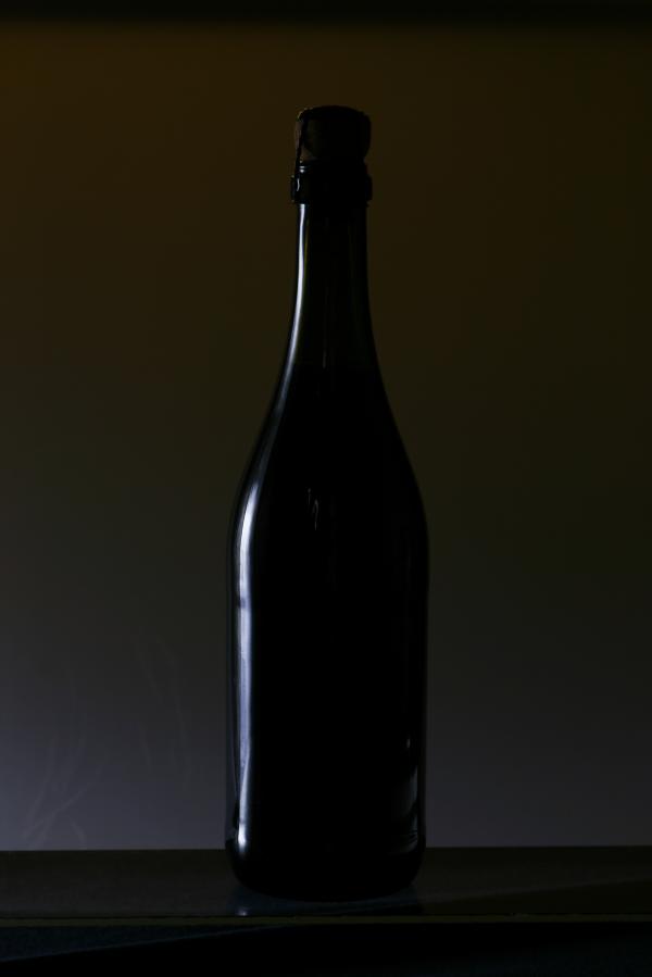 Bottle