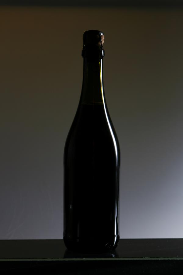 Bottle