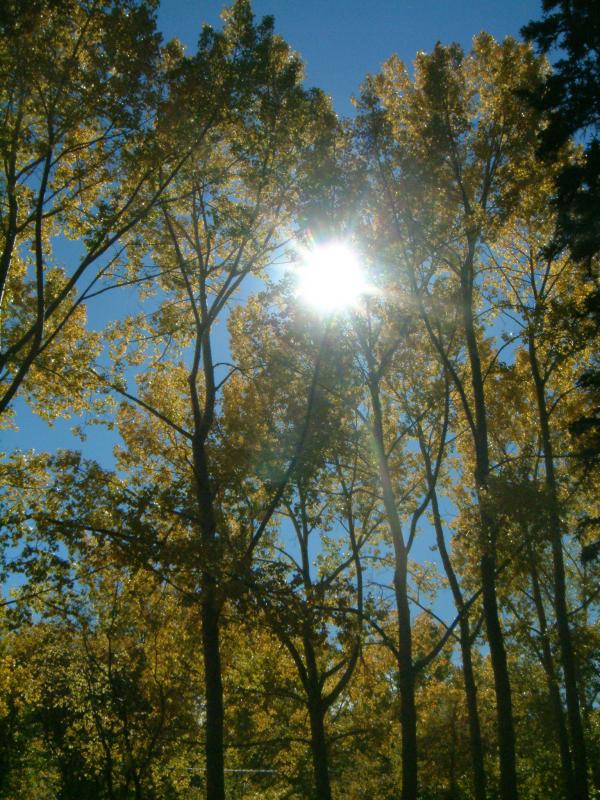 Bowness park in Calgary, Canada