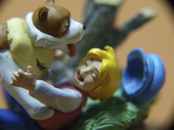 Boy and dog, macro toys