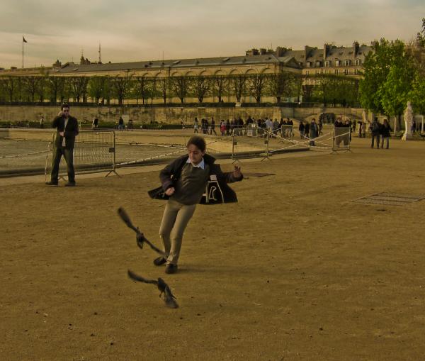 Boy chasing birds