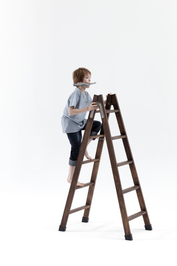 Boy on Ladder
