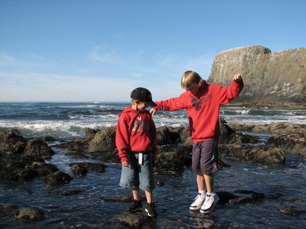 boys in the surf