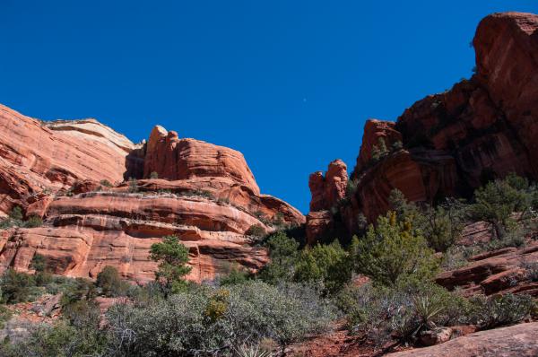 Boyton Canyon Trail No. 47