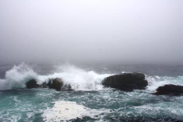 Braking Waves