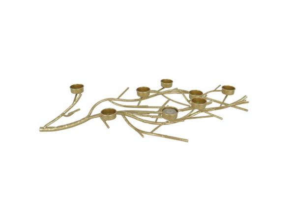 Branch