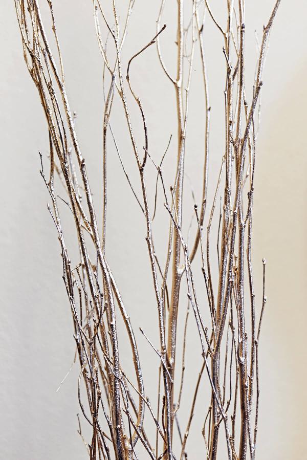 Dry tree branches