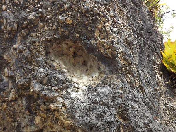 Brazilian Map in the Rock