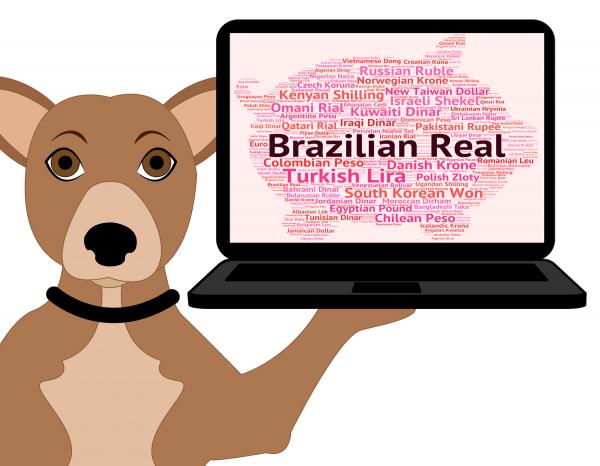 Brazilian Real Indicates Foreign Currency And Broker