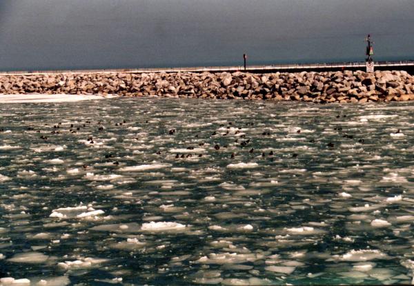 Breakwater in winter