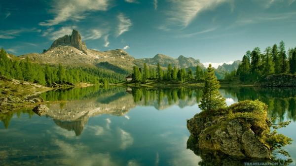 nature scene
